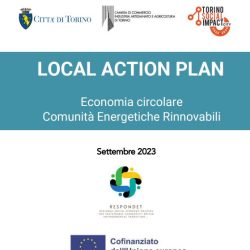 Local Action Plan_Respondet